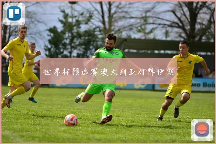世界杯预选赛澳大利亚对阵伊朗