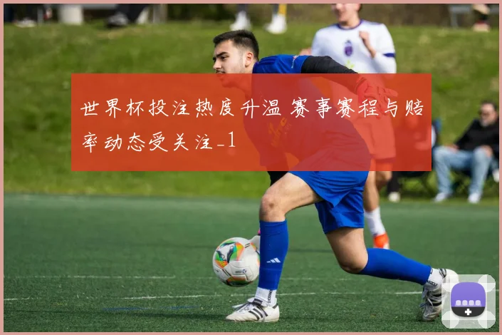 世界杯投注热度升温 赛事赛程与赔率动态受关注_1
