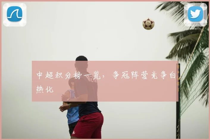 中超积分榜一览，争冠阵营竞争白热化