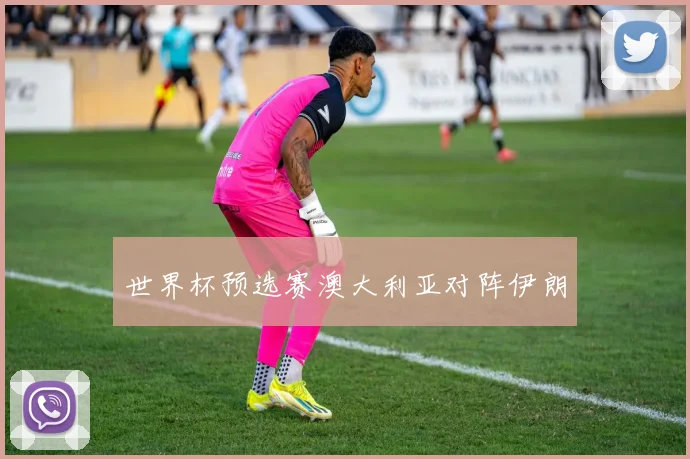 世界杯预选赛澳大利亚对阵伊朗