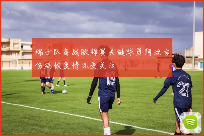瑞士队备战欧锦赛关键球员阿坎吉伤病恢复情况受关注