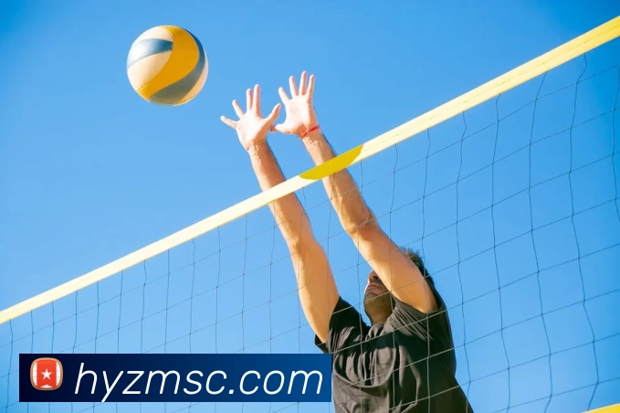 开云app登录入口 - 开云online(中国)服务体系