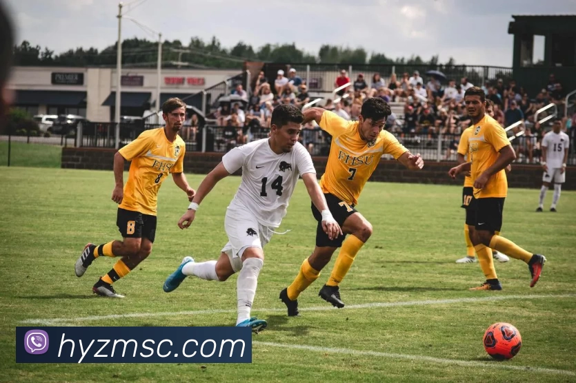 多媒体互动体验